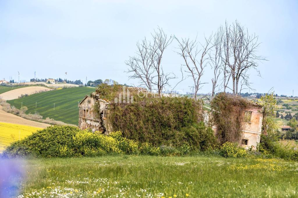 immagine annuncio 9 di 12