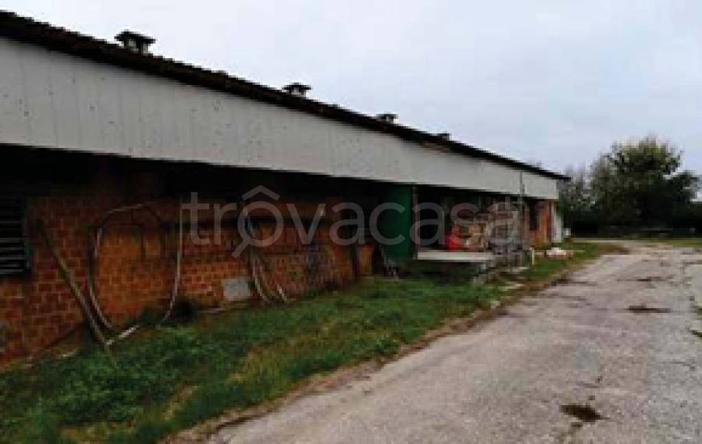 immagine annuncio 9 di 11