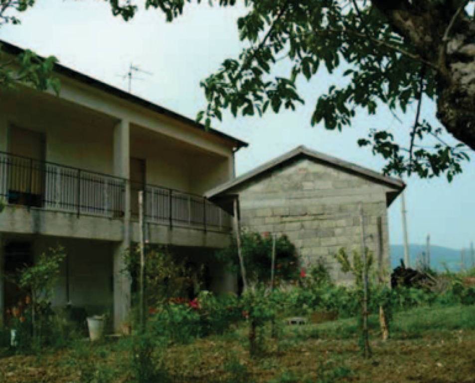 immagine annuncio 6 di 11