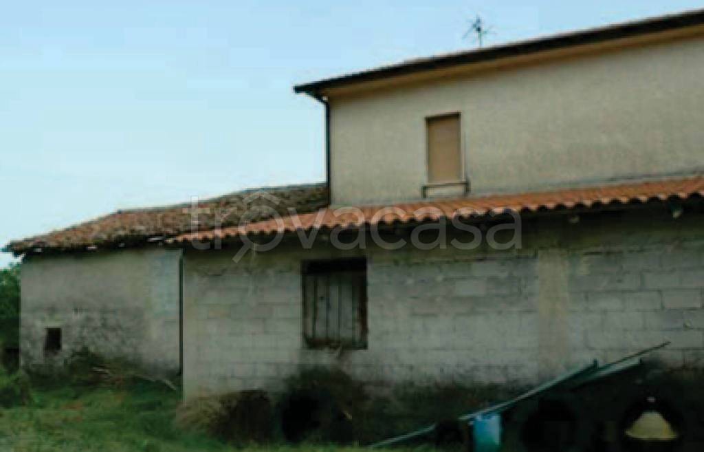 immagine annuncio 8 di 11