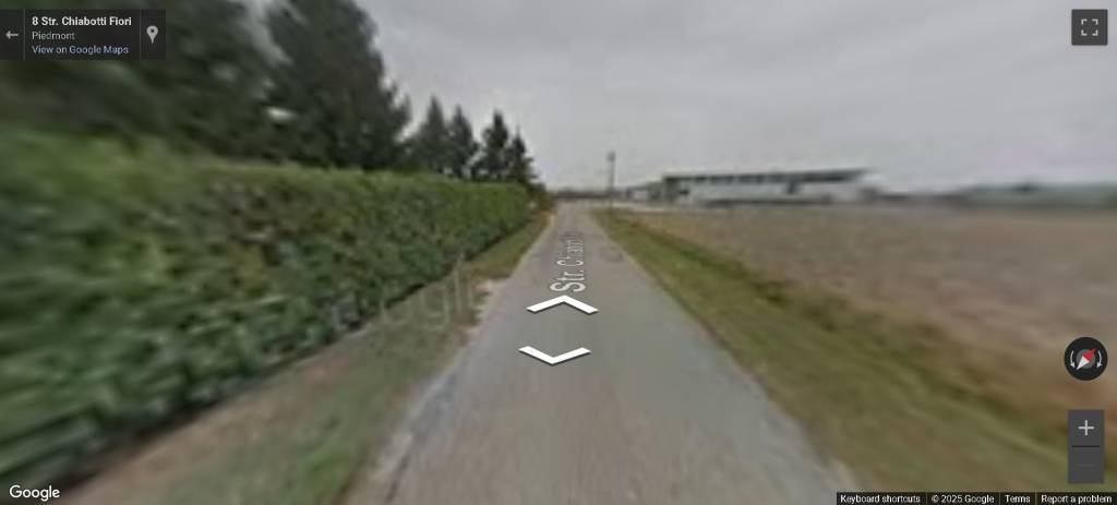 immagine annuncio 1 di 14