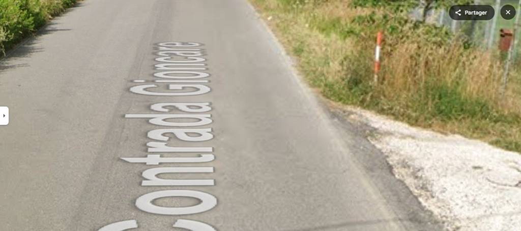 immagine annuncio 2 di 12