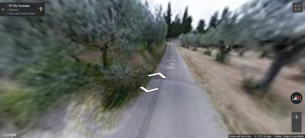 immagine annuncio 10 di 12