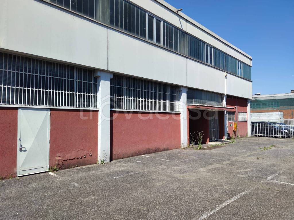 immagine annuncio 2 di 15