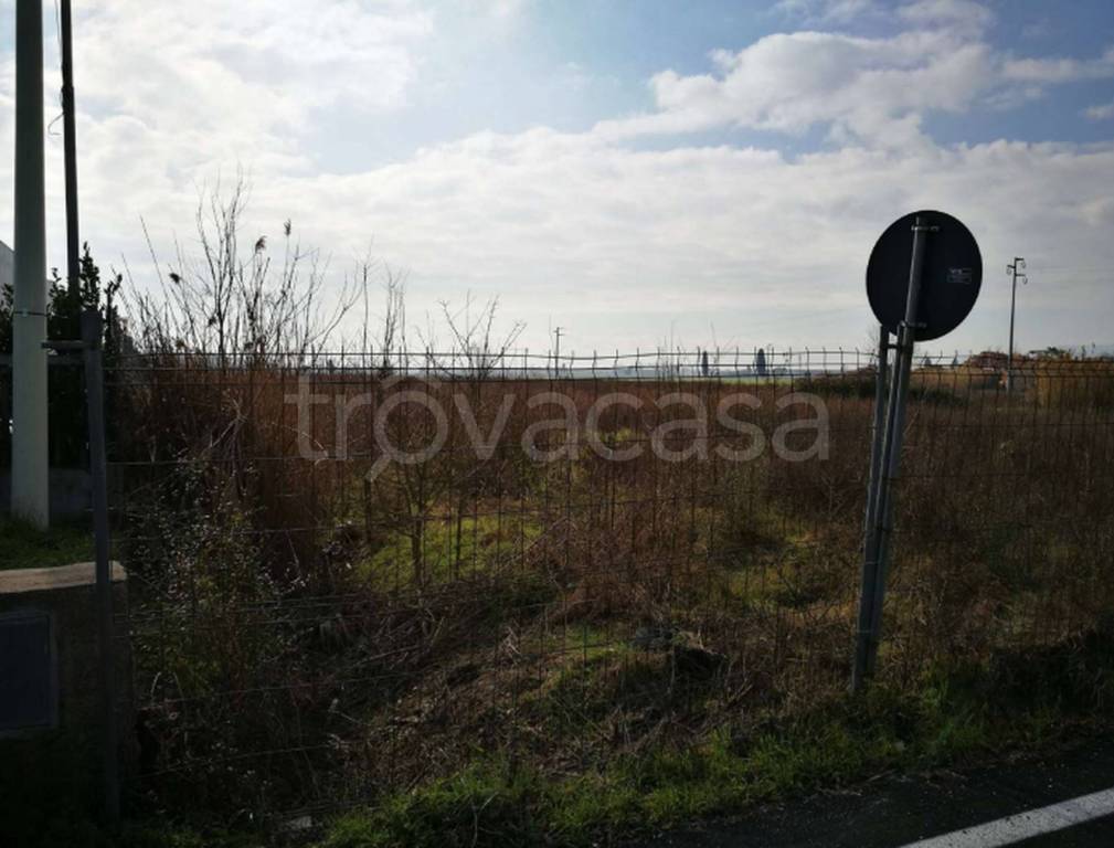 immagine annuncio 6 di 11