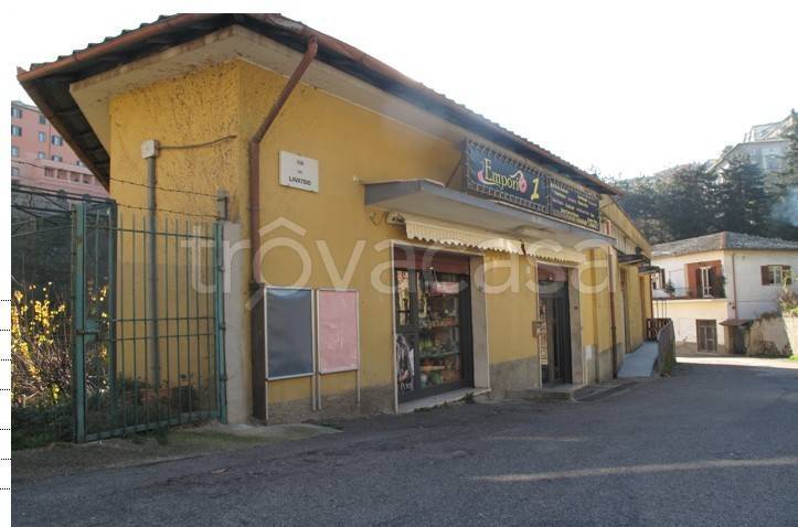 immagine annuncio 2 di 3