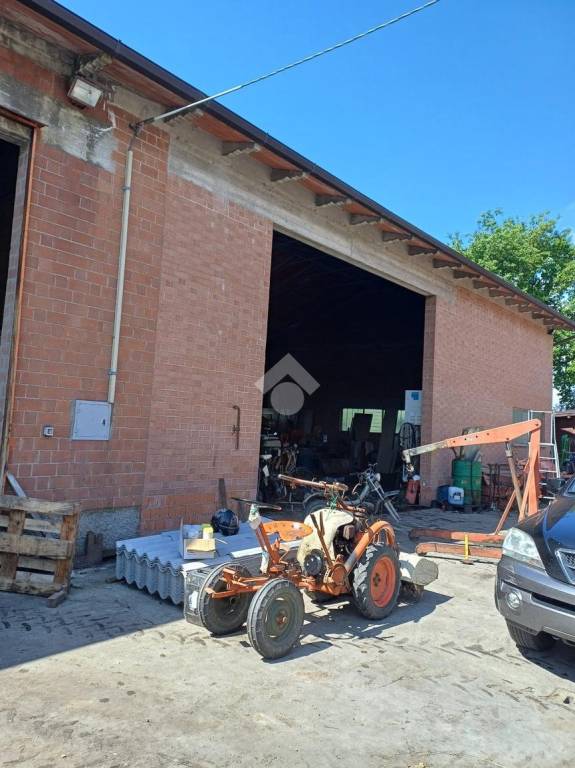 immagine annuncio 1 di 6