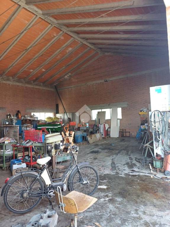 immagine annuncio 2 di 6