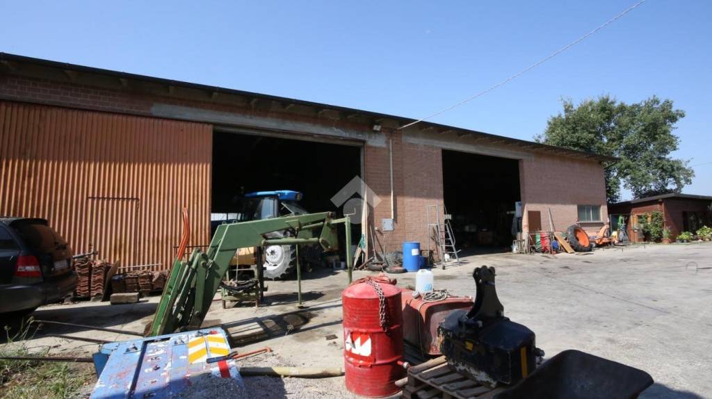 immagine annuncio 3 di 6