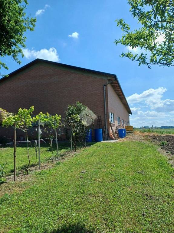 immagine annuncio 5 di 6