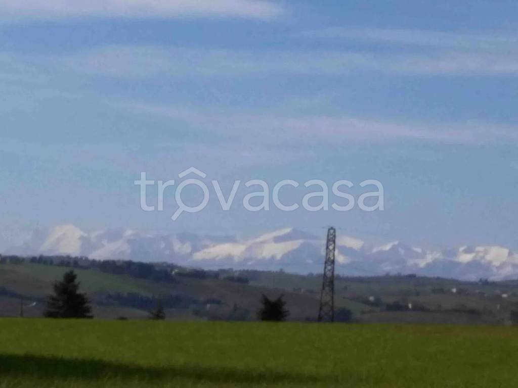 immagine annuncio 3 di 7