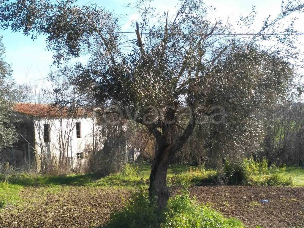 immagine annuncio 5 di 7