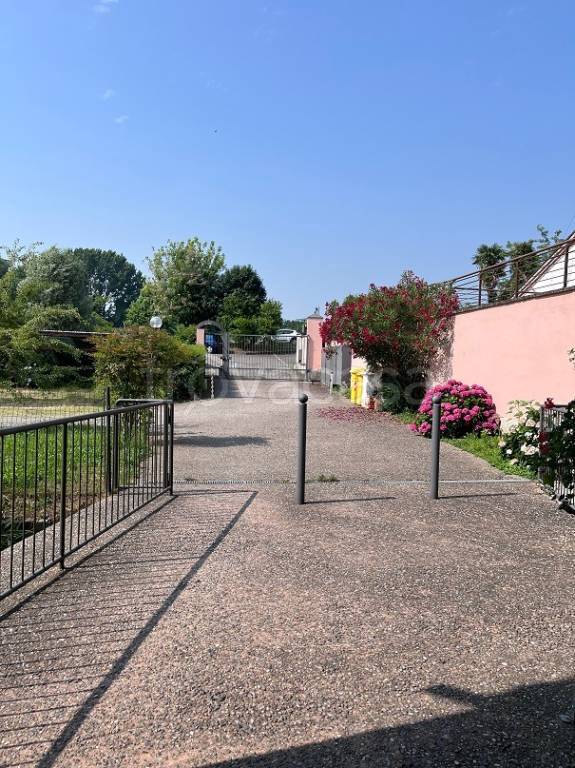 immagine annuncio 12 di 13
