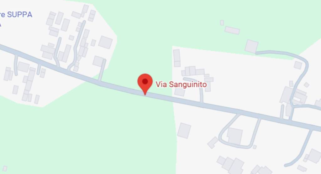 immagine annuncio 6 di 12