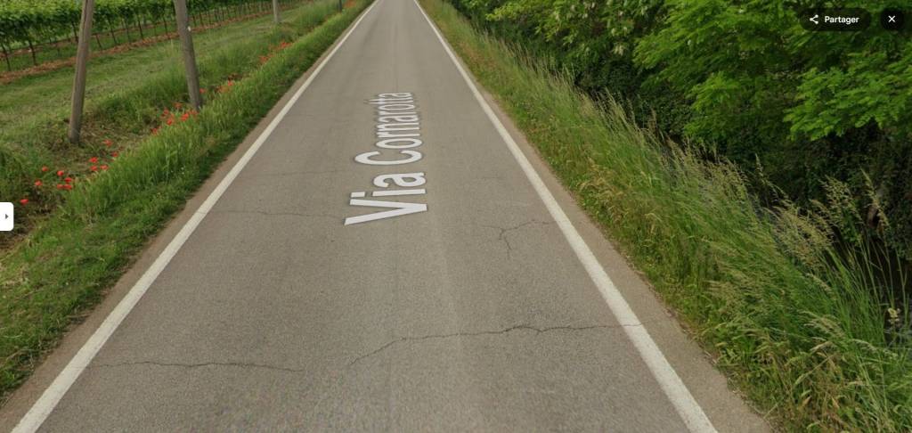 immagine annuncio 4 di 14