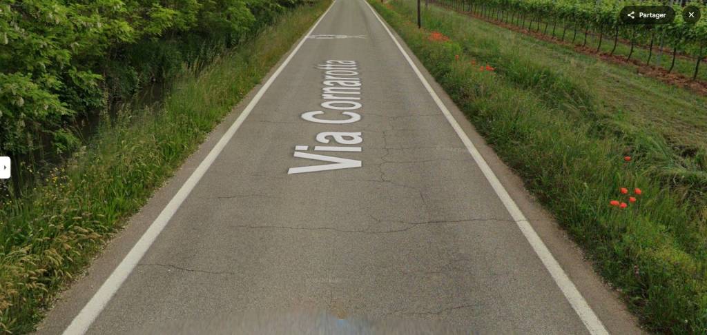 immagine annuncio 9 di 14