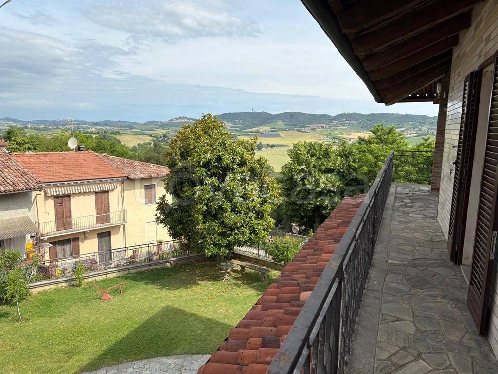 immagine annuncio 11 di 14