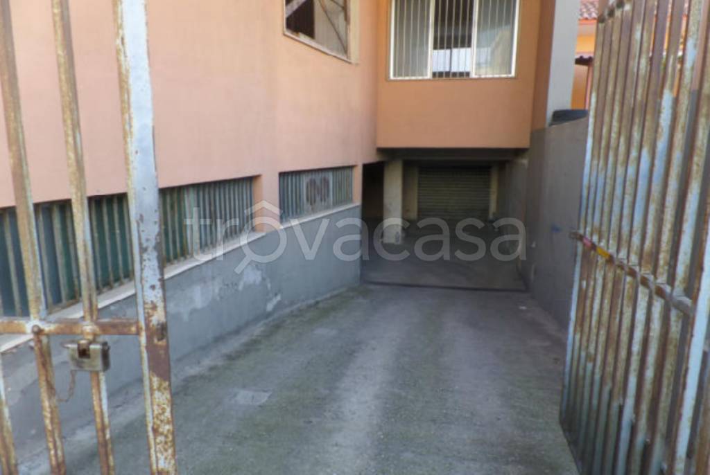 immagine annuncio 9 di 14