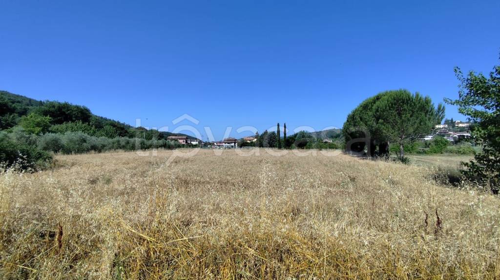 immagine annuncio 6 di 12