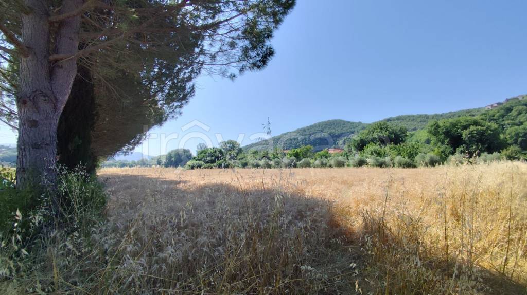 immagine annuncio 8 di 12