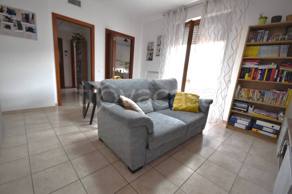 immagine annuncio 2 di 9