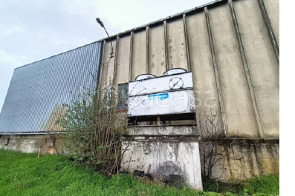 immagine annuncio 7 di 11