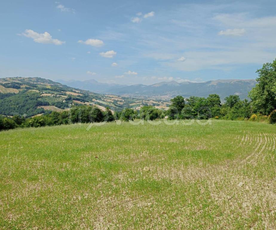 immagine annuncio 4 di 6