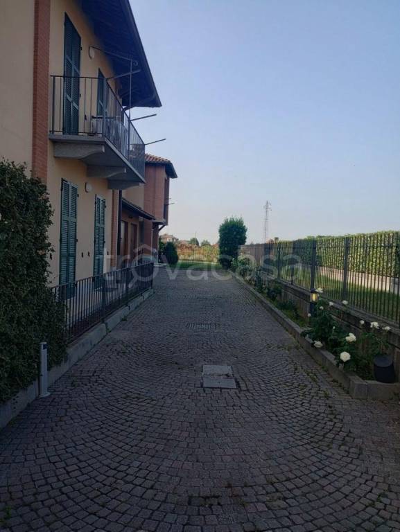 immagine annuncio 9 di 15