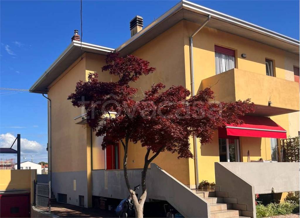 immagine annuncio 2 di 11
