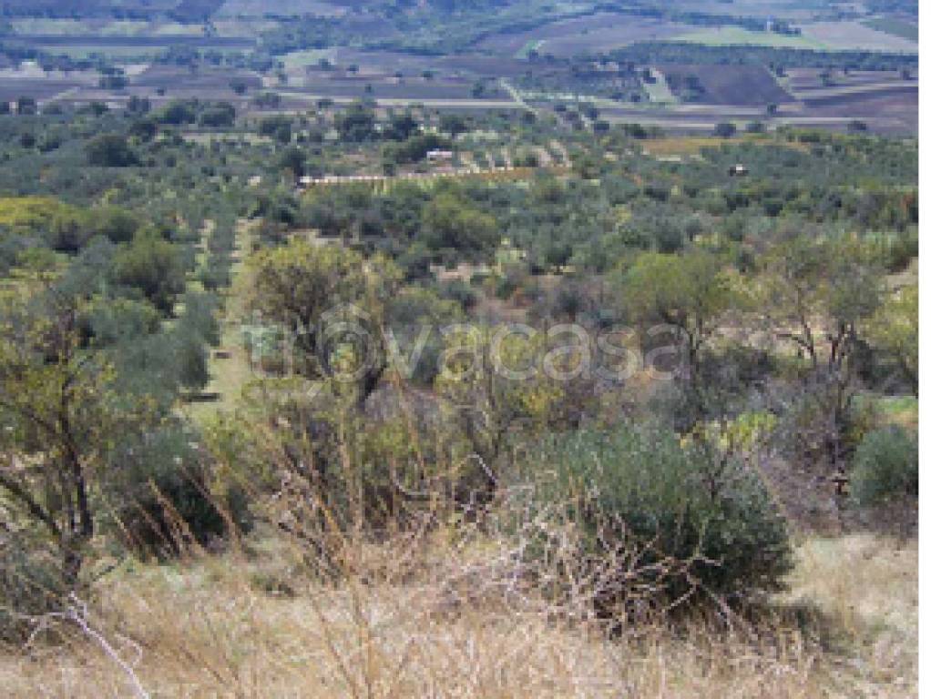 immagine annuncio 9 di 12