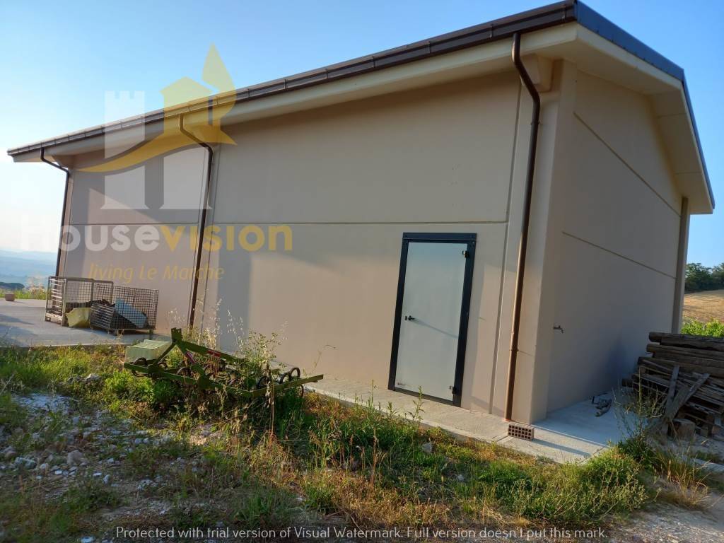 immagine annuncio 2 di 4