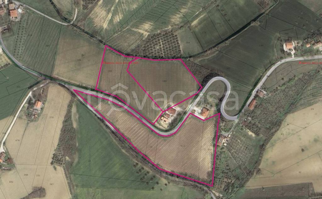 immagine annuncio 3 di 4