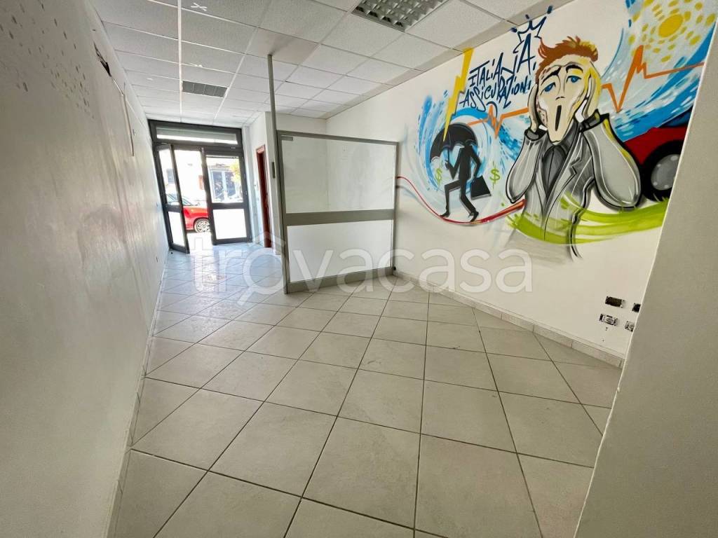 immagine annuncio 6 di 14
