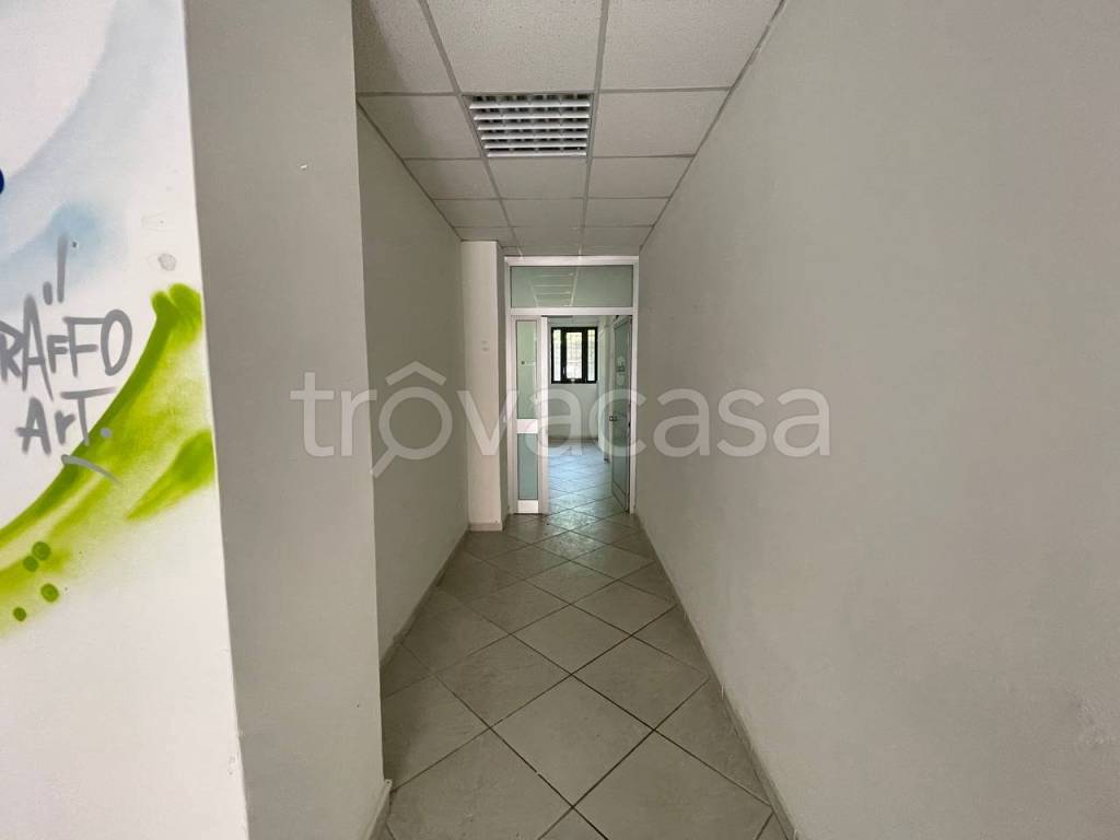 immagine annuncio 12 di 14