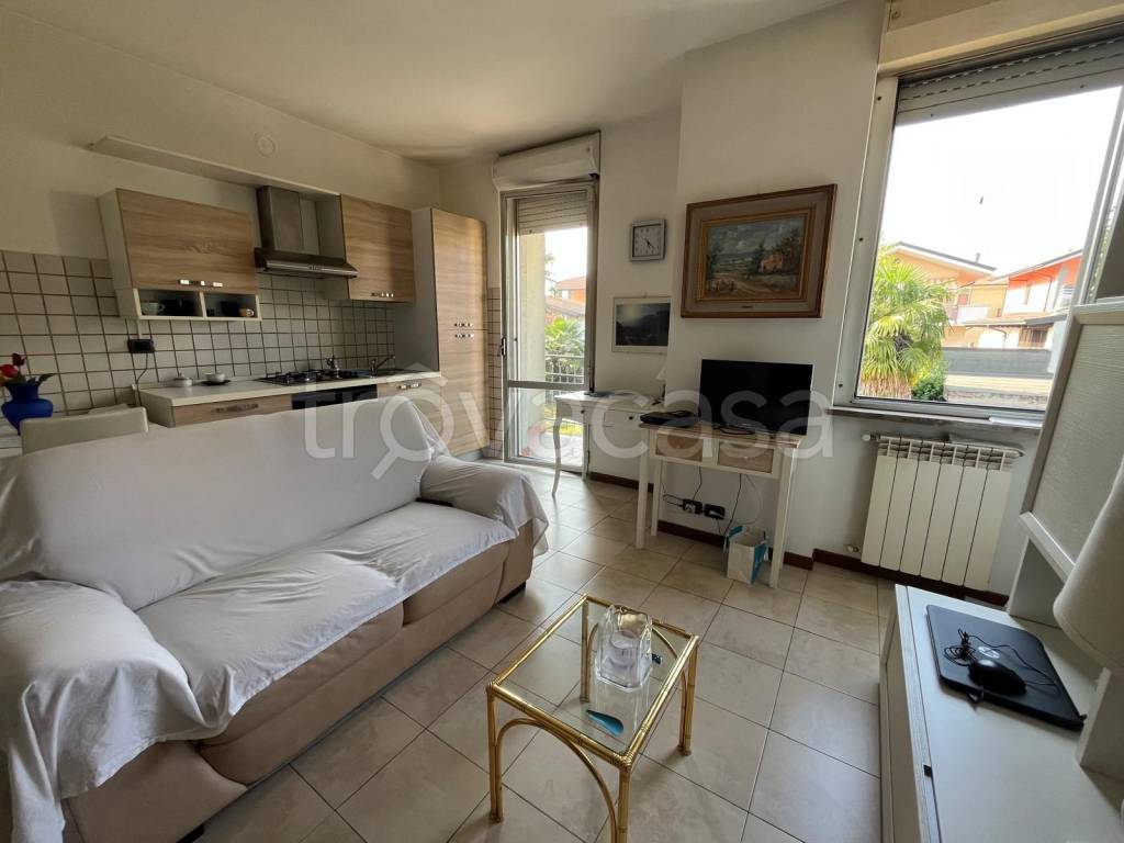 immagine annuncio 7 di 15