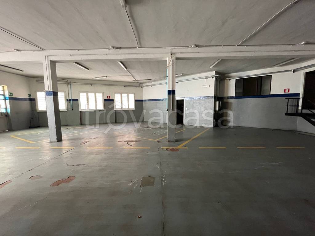 immagine annuncio 8 di 14