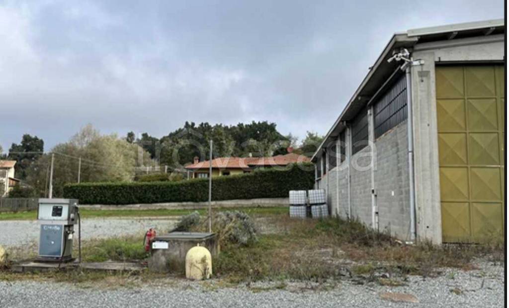 immagine annuncio 7 di 11