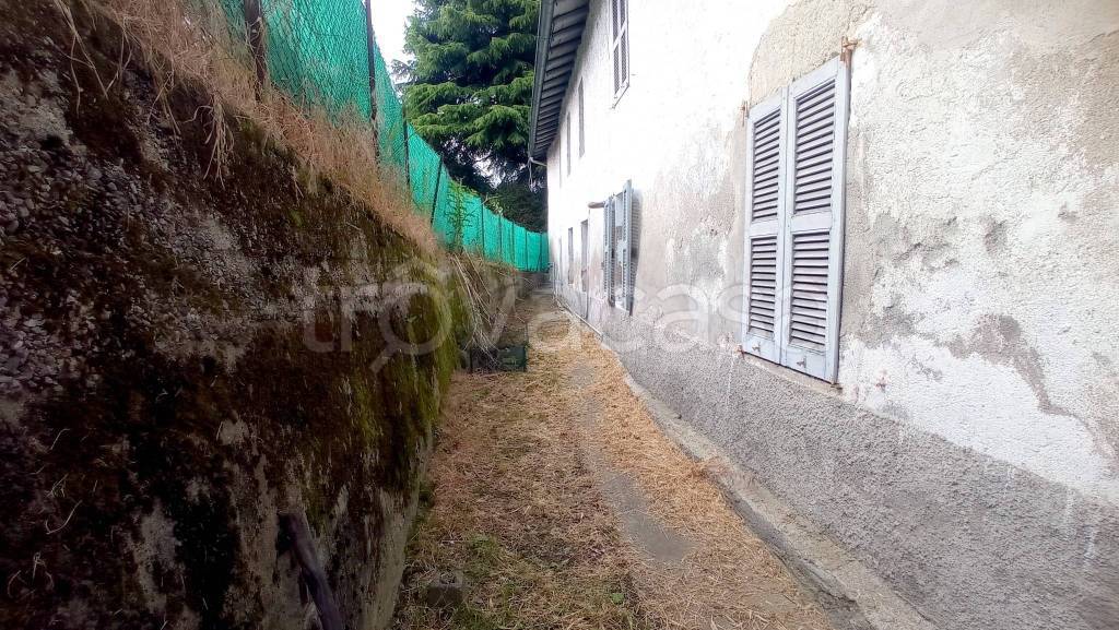 immagine annuncio 5 di 8