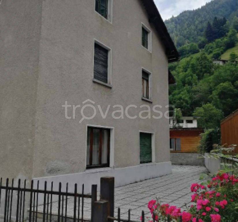 immagine annuncio 5 di 12