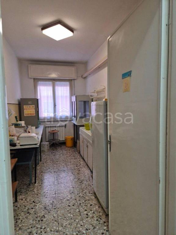 immagine annuncio 5 di 7