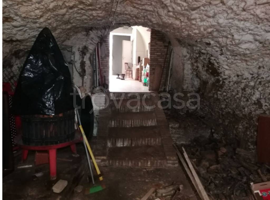immagine annuncio 8 di 12