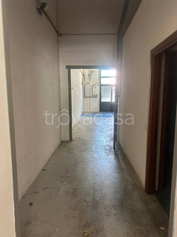 immagine annuncio 2 di 12