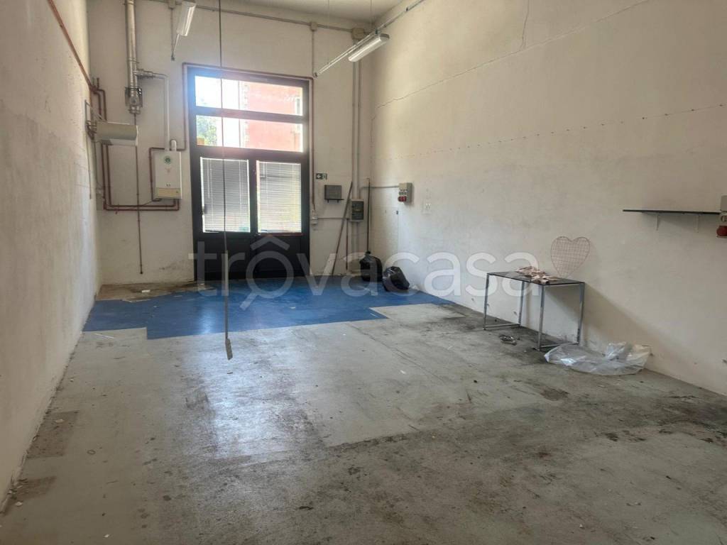 immagine annuncio 5 di 12