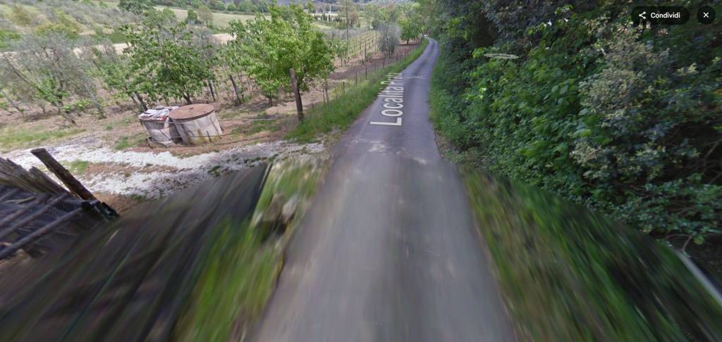 immagine annuncio 8 di 11