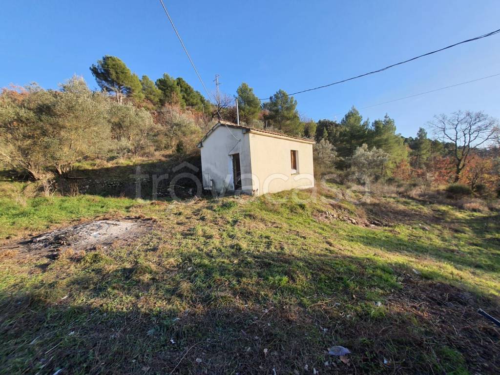 immagine annuncio 5 di 14