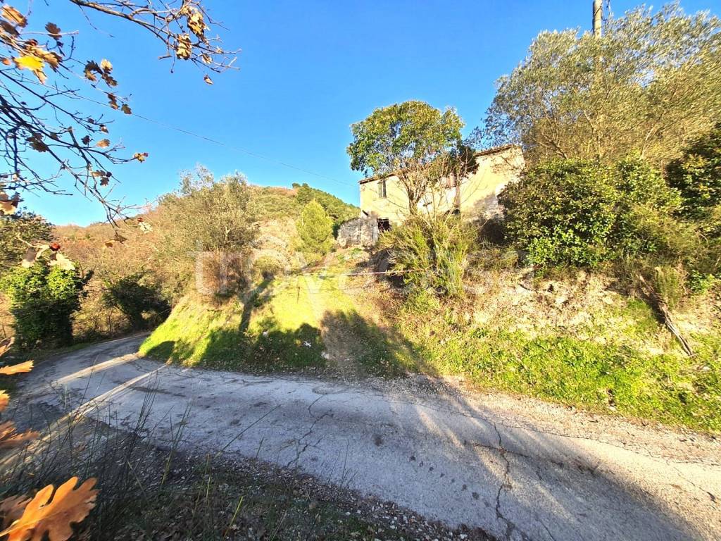 immagine annuncio 7 di 14