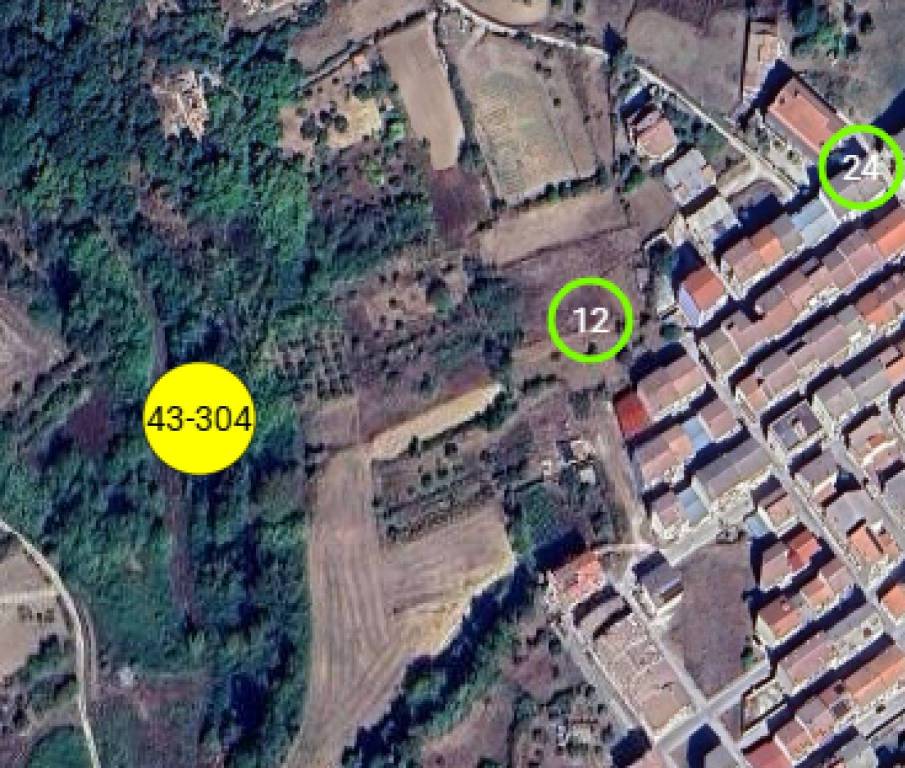 immagine annuncio 2 di 11