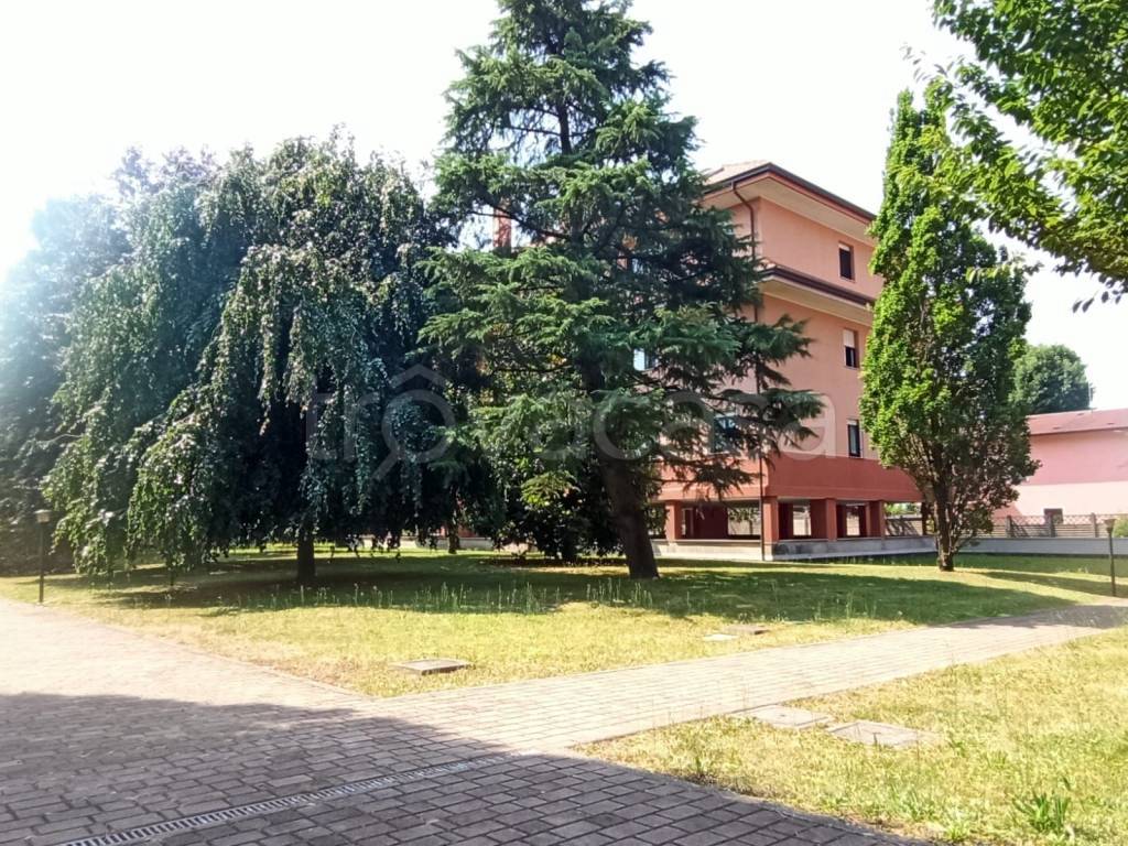 immagine annuncio 4 di 14