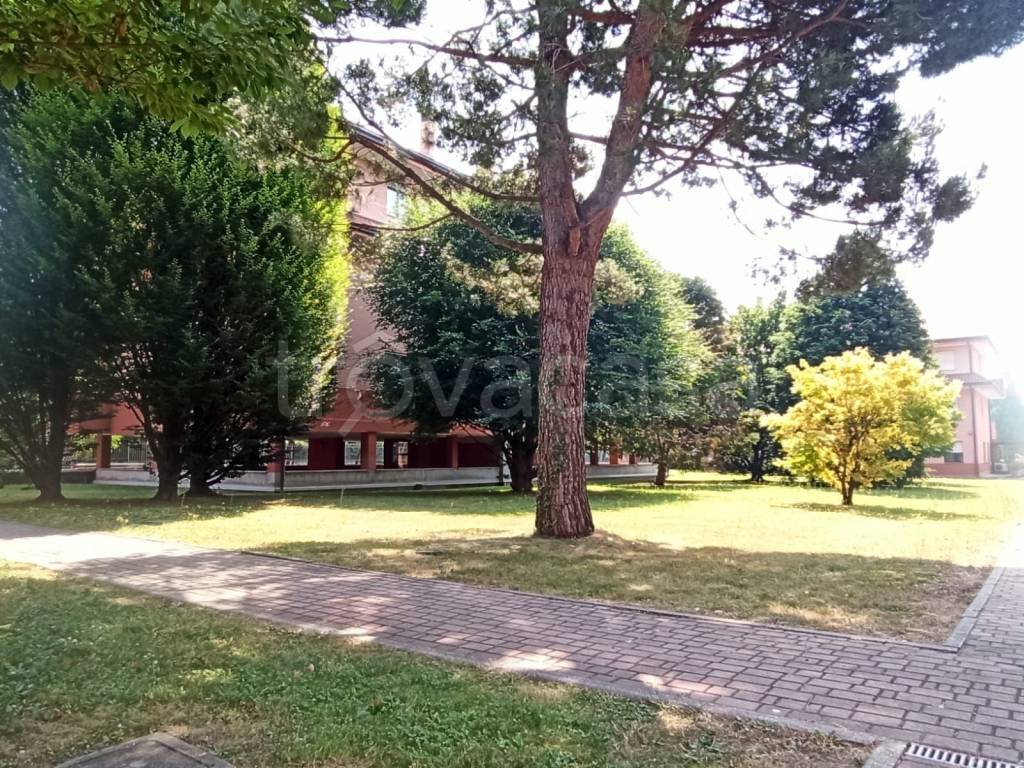 immagine annuncio 12 di 14