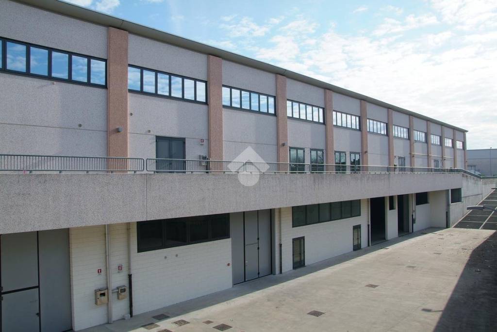 immagine annuncio 5 di 14